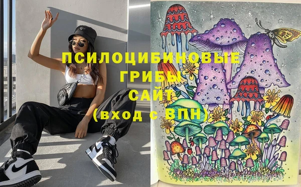 PSILOCYBIN Магадан
