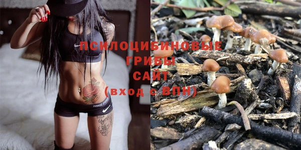 PSILOCYBIN Магадан